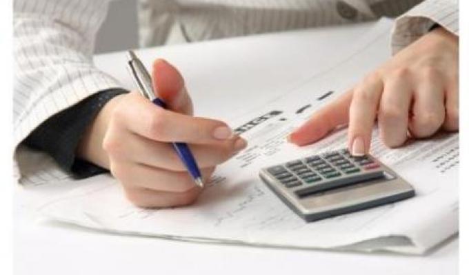У районі спрощену систему оподаткування використовують 91 сільгосптоваровиробник 