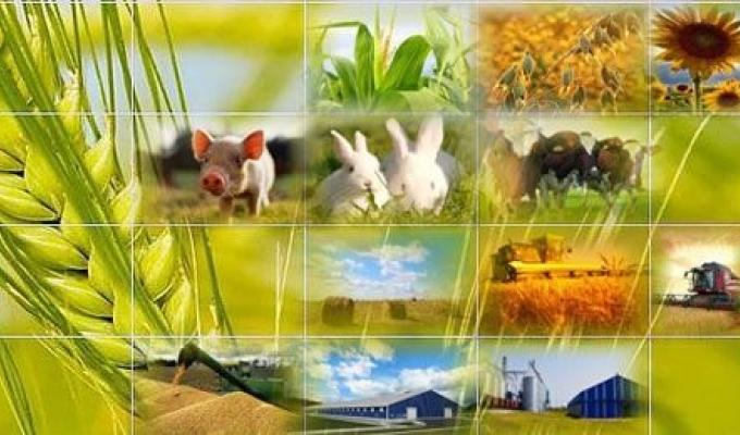 Аграрії району отримали державну допомогу
