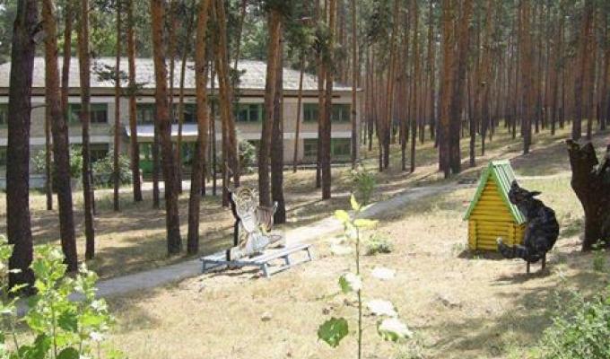 На минулому тижні в райдержадміністрації проводилось чергове засідання координаційної ради з питань літнього оздоровлення та відпочинку дітей