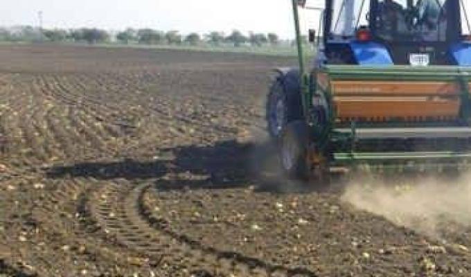 В районі засіяно близько восьмидесяти відсотків озимих зернових культур