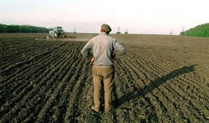 Сільськогосподарські підприємства продовжують збирання зернових та технічних культур 