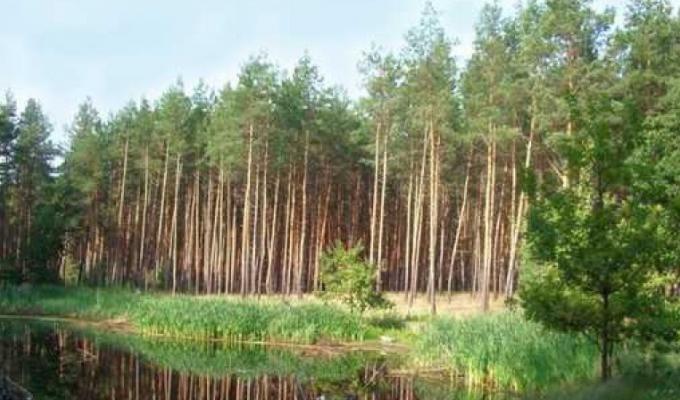 Про створення національного природного парку  «Кремінські ліси»