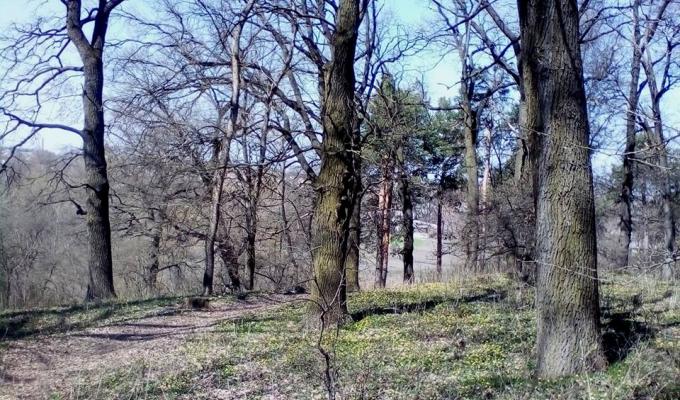 Подбаймо всією громадою про чистоту нашої Кремінщини!