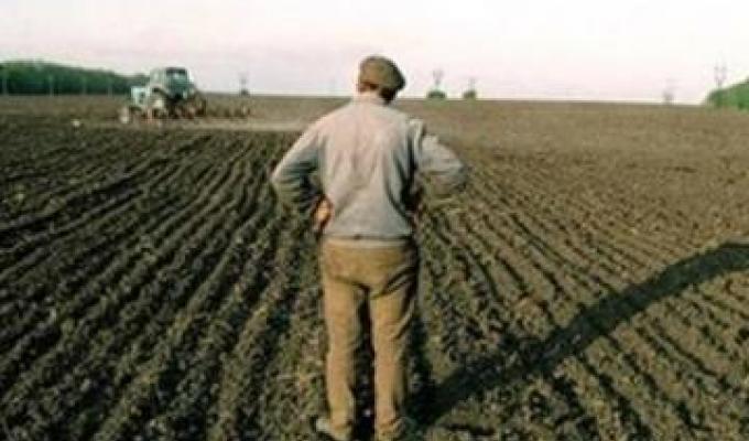 На сьогоднішній день сільськогосподарські підприємства району подовжують збирання зернових та технічних культур.