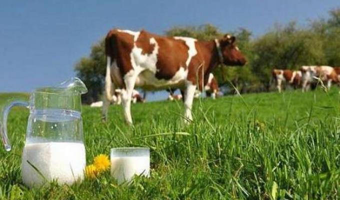 Аграрії отримали допомогу від Уряду