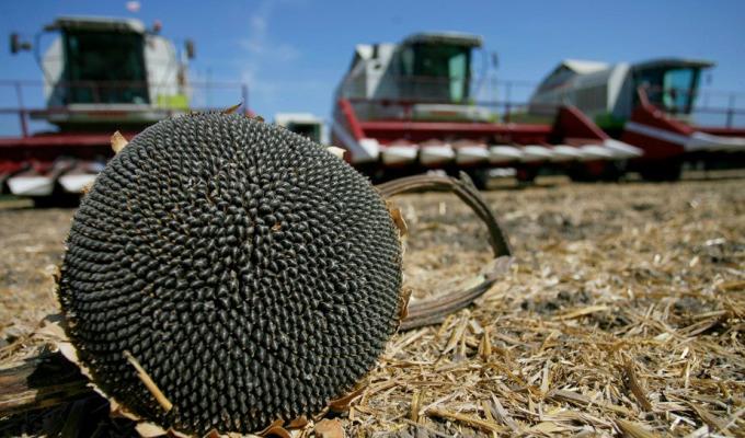 Аграрії району подовжують комплекс осінньо - польових робіт.