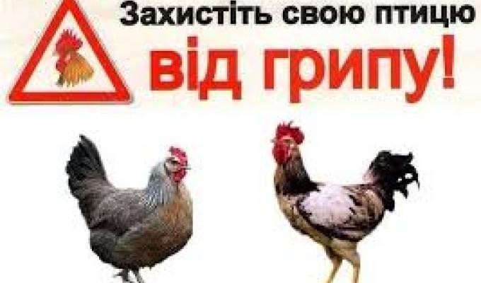 Днями у Кремінській райдержадміністрації пройшло засідання державної  надзвичайної протиепізоотичної комісії, на якій обговорено заходи по недопущенню пташиного грипу