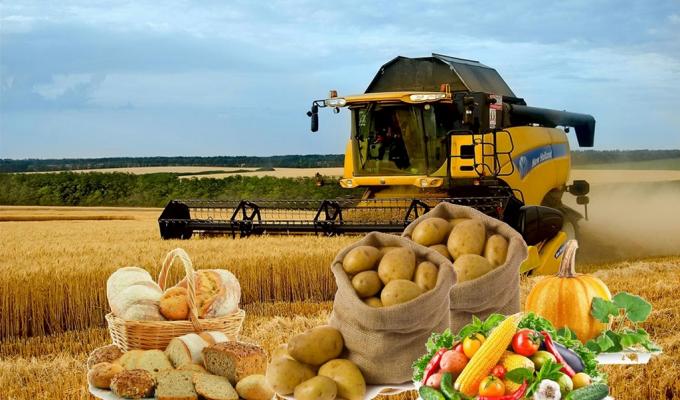 Шановні працівники сільського господарства!