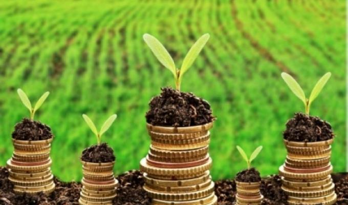 До місцевих бюджетів Кремінщини надійшло 4,6 млн грн земельного податку 