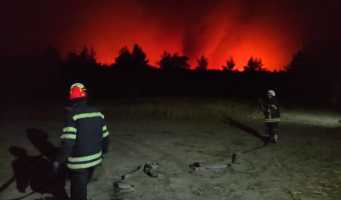 Продовжується гасіння масштабних пожеж в лісових масивах Кремінського району 