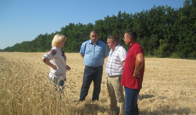 У «Владарі»  тривають жнива.