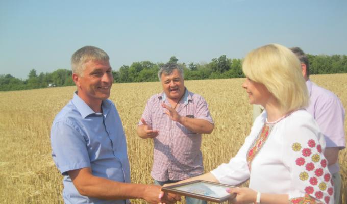 На фінішну пряму вийшли господарства Кремінщини по збору ранніх зернових.