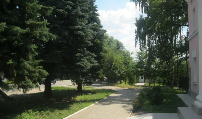 До Дня Незалежності України  у Кремінському районі пройдуть заходи з благоустрою 