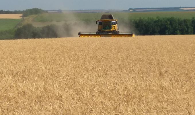 Наразі аграрії району практично завершили збирання ранніх зернових.