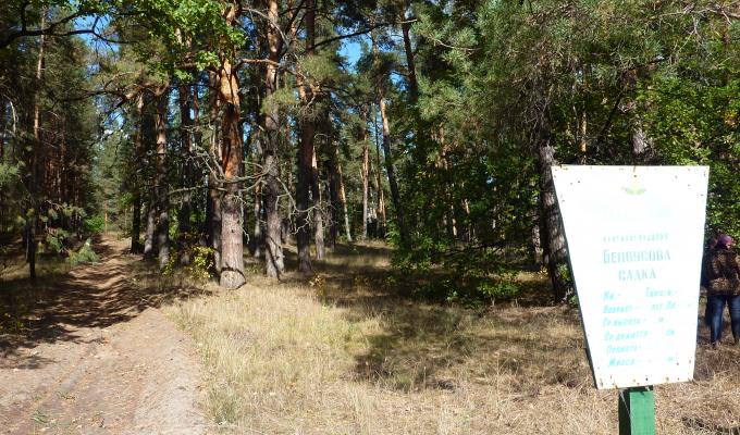 Уряд затвердив План заходів щодо підтримки культури, охорони культурної спадщини та туризму