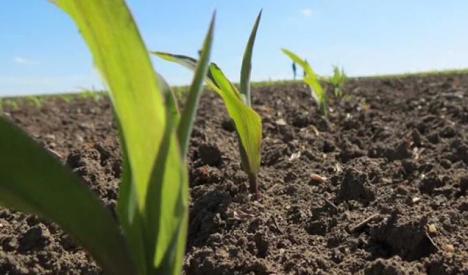 Аграрії району  розпочали комплекс весняно-польових робіт 2020 року