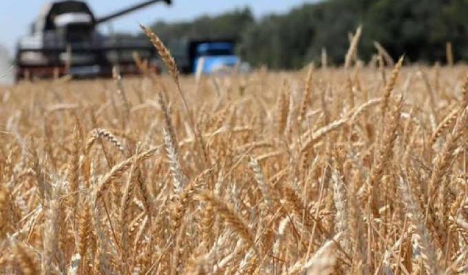 Аграрії  району  закінчили  збирання ранніх зернових та зернобобових культур