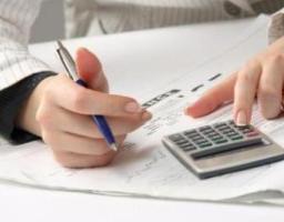У районі спрощену систему оподаткування використовують 91 сільгосптоваровиробник 
