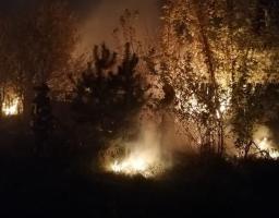 За інформацією 21 – ї Державної пожежної рятувальної частини, протягом доби у Кремінському районі сталось 15 загорань