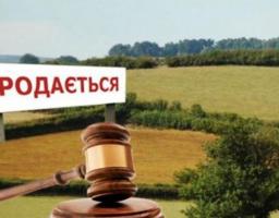 Про внесення змін до деяких законодавчих актів України щодо обігу земель сільськогосподарського призначення