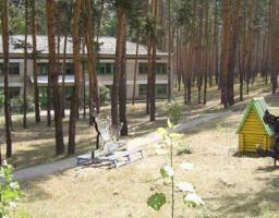 На минулому тижні в райдержадміністрації проводилось чергове засідання координаційної ради з питань літнього оздоровлення та відпочинку дітей