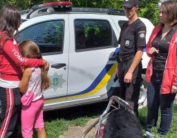 Самий ефективний спосіб подолати домашнє насильство – формування свідомого неприйняття  цього негативного явища