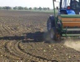 В районі засіяно близько восьмидесяти відсотків озимих зернових культур