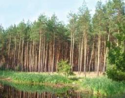 Про створення національного природного парку  «Кремінські ліси»