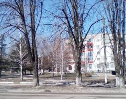 Днями в райдержадміністрації відбулось засідання районного Комітету доступності осіб з обмеженими фізичними можливостями до об’єктів адміністративного та соціального призначення. 