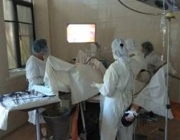 З початку року у Кремінському РТМО було проведено 50 лапароскопічних операцій