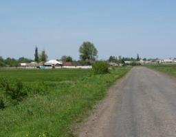 Про доцільність створення молочного кооперативу йшлось на сході жителів села Невське.