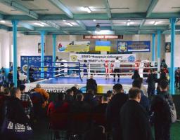Шість кремінських боксерів стали чемпіонами області. 