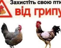 Днями у Кремінській райдержадміністрації пройшло засідання державної  надзвичайної протиепізоотичної комісії, на якій обговорено заходи по недопущенню пташиного грипу