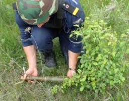 Піротехніками на Луганщині вилучено 30 одиниць вибухонебезпечних предметів 