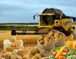 Шановні працівники сільського господарства!