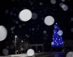 Головна ялинка Кремінщини  засяє  вогниками до Дня святого Миколая
