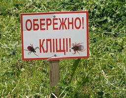 Обережно! Кліщі!