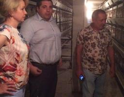 У "Стимулі 777" на 50 відсотків  збільшено поголів'я птиці. 