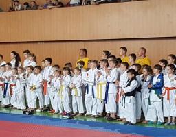 Каратисти Кремінського клубу «Східний регіон» на Чемпіонаті України вибороли 24 медалі.
