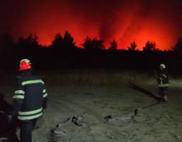 Продовжується гасіння масштабних пожеж в лісових масивах Кремінського району 