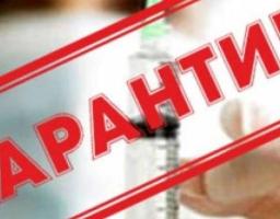 Як отримати сертифікат про форс-мажорні обставини на період введення карантину