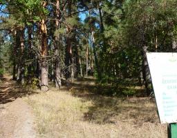Уряд затвердив План заходів щодо підтримки культури, охорони культурної спадщини та туризму