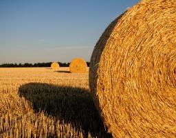 Загальна сума нарахованої орендної плати  у поточному році по району складає близько 79 млн. гривень